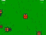Game: LadyBug